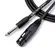 Cabo Santo Angelo P10 XLR Ninja HG 15 Ft