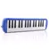 Escaleta Dolphin 32 Teclas Com Case Azul