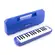 Escaleta Dolphin 32 Teclas Com Case Azul