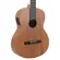 Violão Elétrico Clássico Nylon Forest FS3C Mahogany Satin