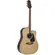 Violão Takamine GD51CE NS & TP4TD Fosco