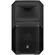 Caixa de Som Portátil Electro Voice EVIVA 15P