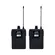 Sistema de Monitor Sem Fio UHF C/2 Bodypack Dylan DSM-300